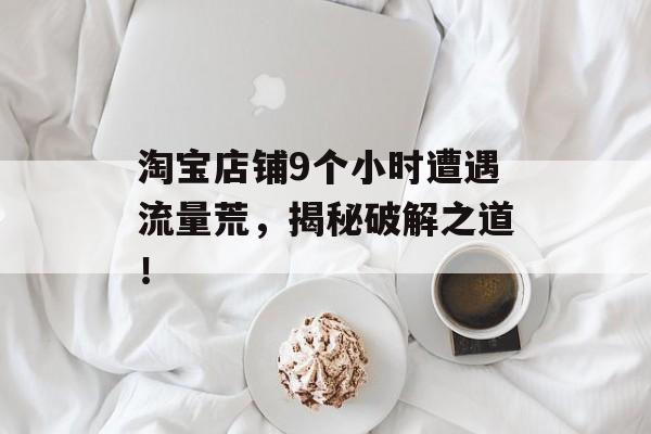 淘宝店铺9个小时遭遇流量荒,揭秘破解之道! 淘宝店铺9个小时遭遇流量荒,揭秘破解之道!