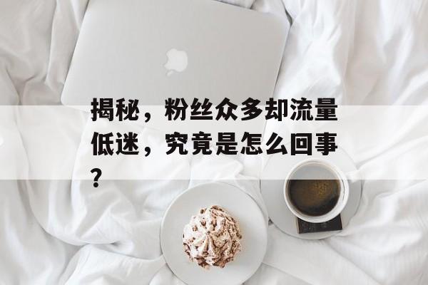 揭秘，粉丝众多却流量低迷，究竟是怎么回事？