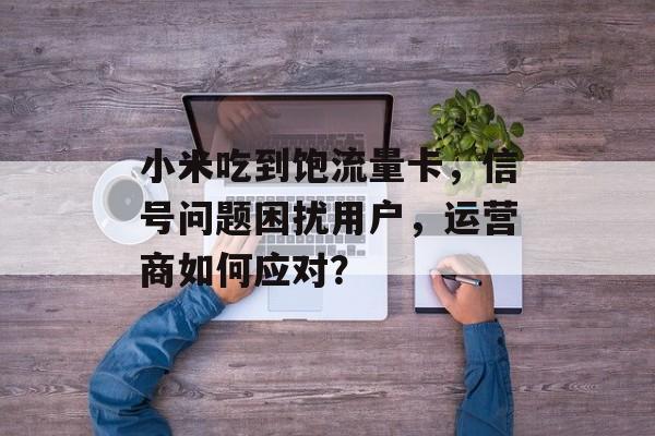 小米吃到饱流量卡,信号问题困扰用户,运营商如何应对? 小米吃到饱流量卡,信号问题困扰用户,运营商如何应对?