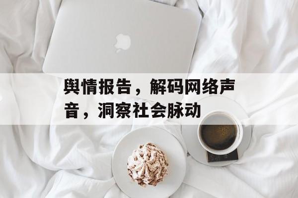 舆情报告,解码网络声音,洞察社会脉动 舆情报告,解码网络声音,洞察社会脉动