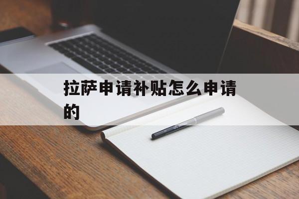 拉萨申请补贴怎么申请的